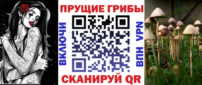 Галлюциногенные грибы мухоморы Дмитров