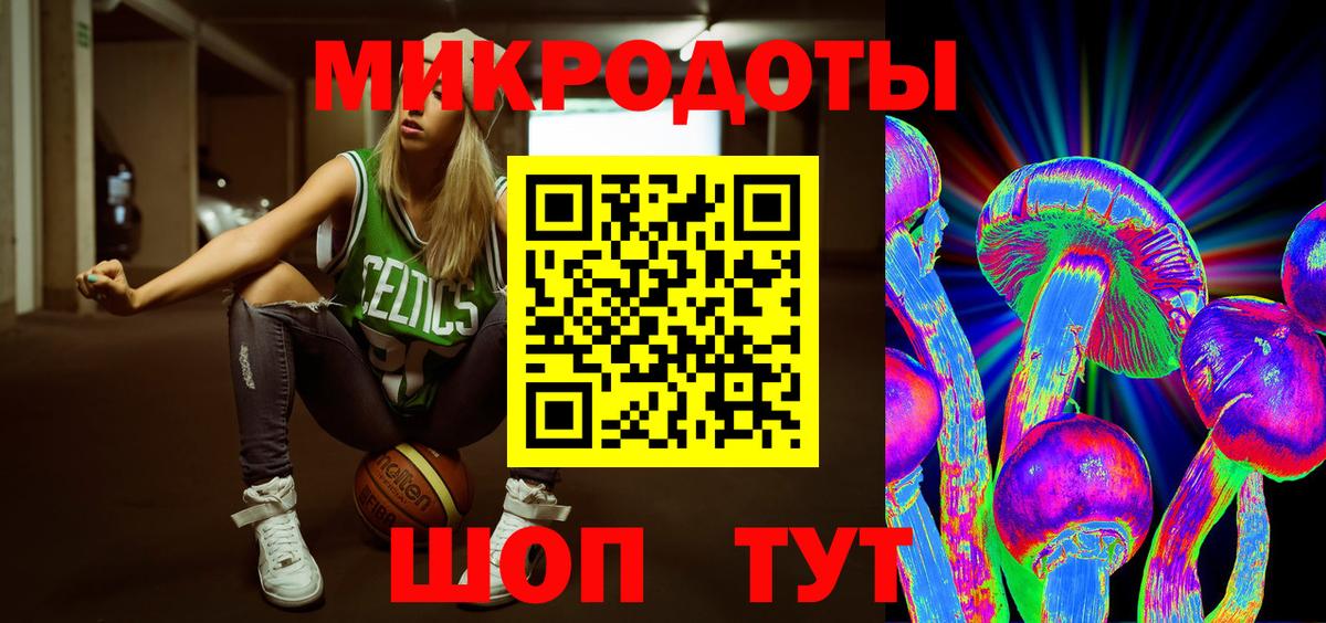 Псилоцибиновые грибы Psilocybe Дмитров