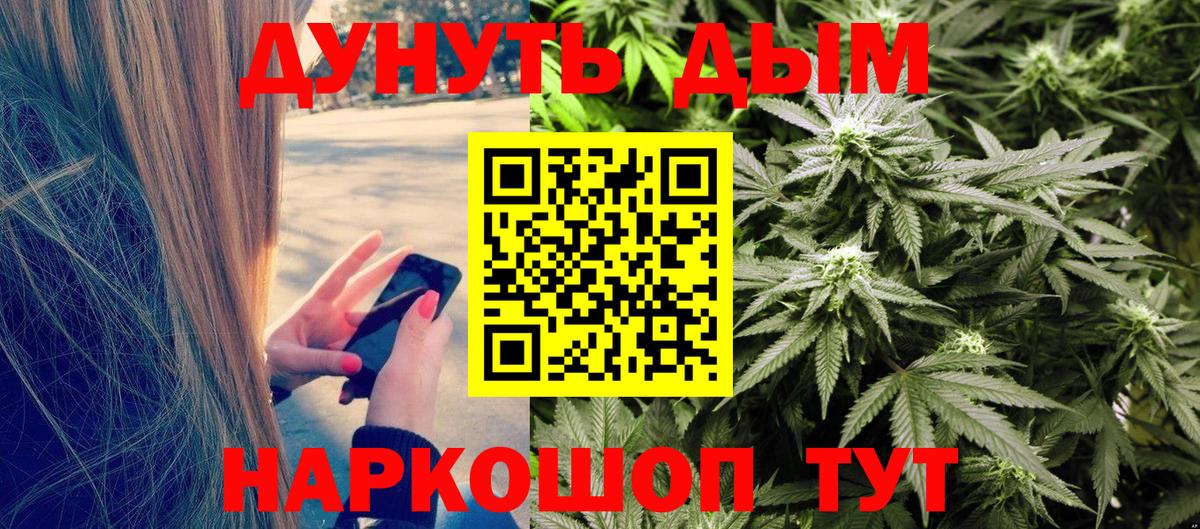 Каннабис SATIVA & INDICA Дмитров